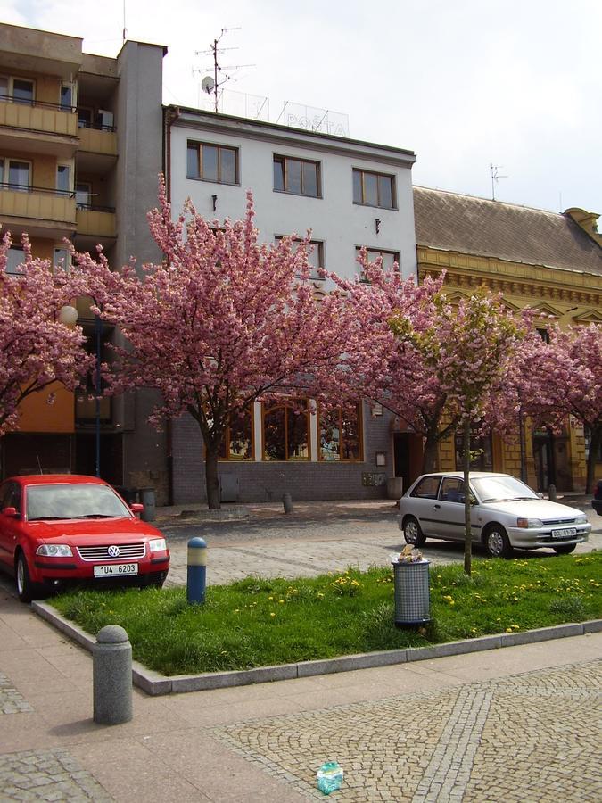 Hotel Posta Дечин Экстерьер фото